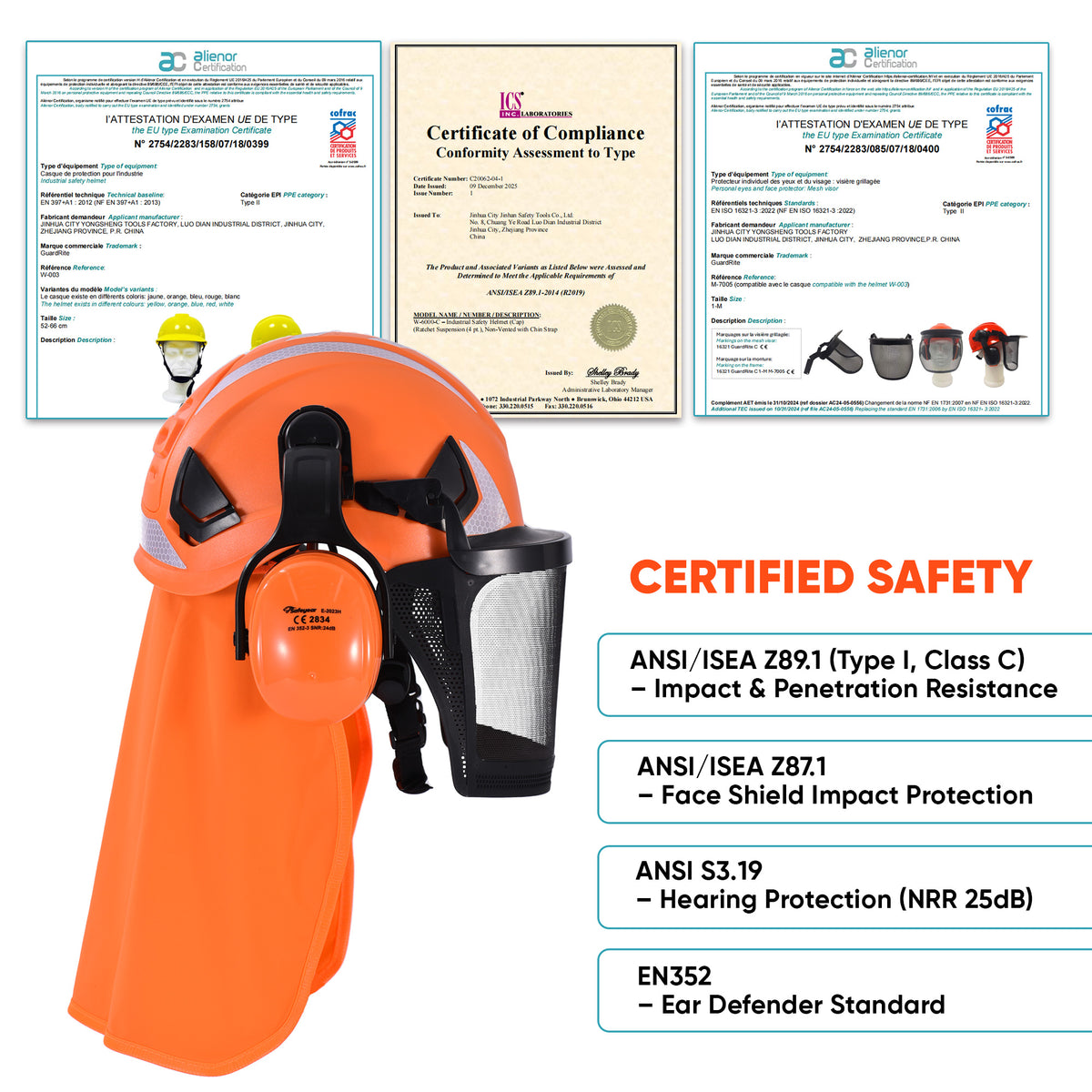 SAFEYEAR Protective Helmet Set – Hard Hat, Ear Muffs, Face Mesh, Adjustable Safety Helmet（Year）